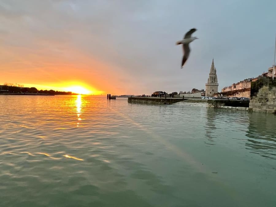 Croisière apéro coucher de soleil à La Rochelle (17)