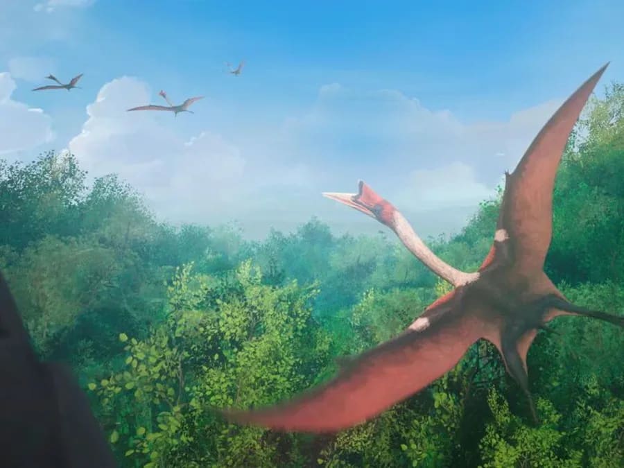 Entrada para la experiencia de RV "Missing Worlds" en Lyon (69)