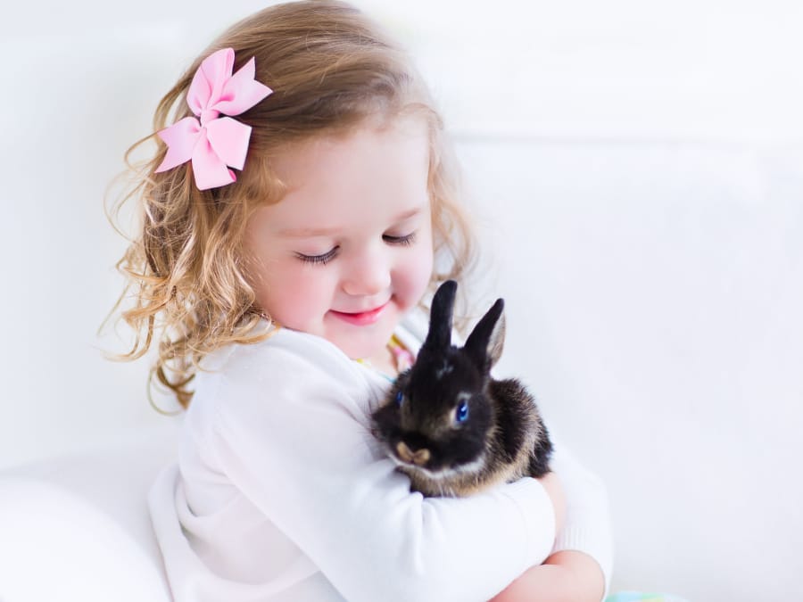 Anniversaire Z'animos Party 5-9 ans à domicile