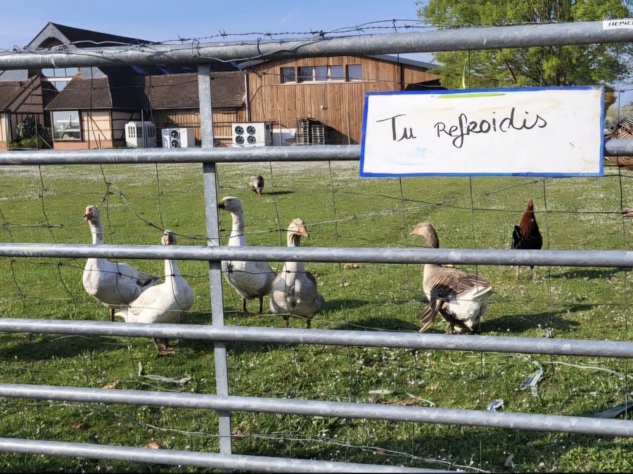Chasse aux œufs de Pâques à la Ferme de Coubert-Cueillette (77)