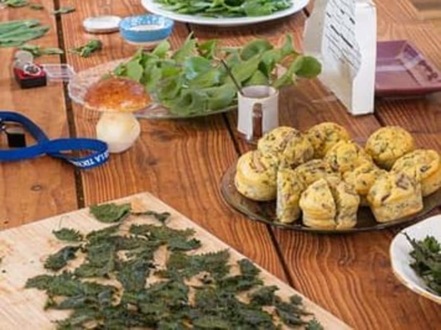 Paseos por la naturaleza y clases de cocina vegetariana en Renne