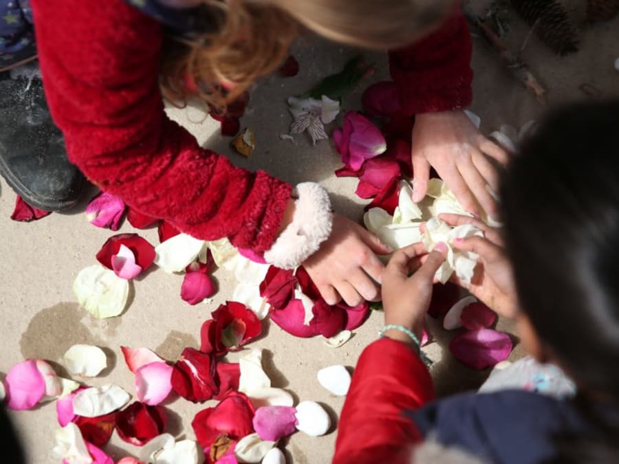 Team Building artistique : Initiation au landart