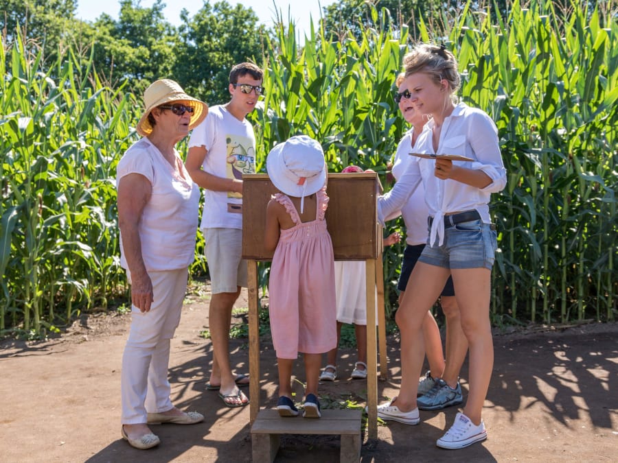 Labyrinthe géant dans un champ de maïs à Marcoussis (91)