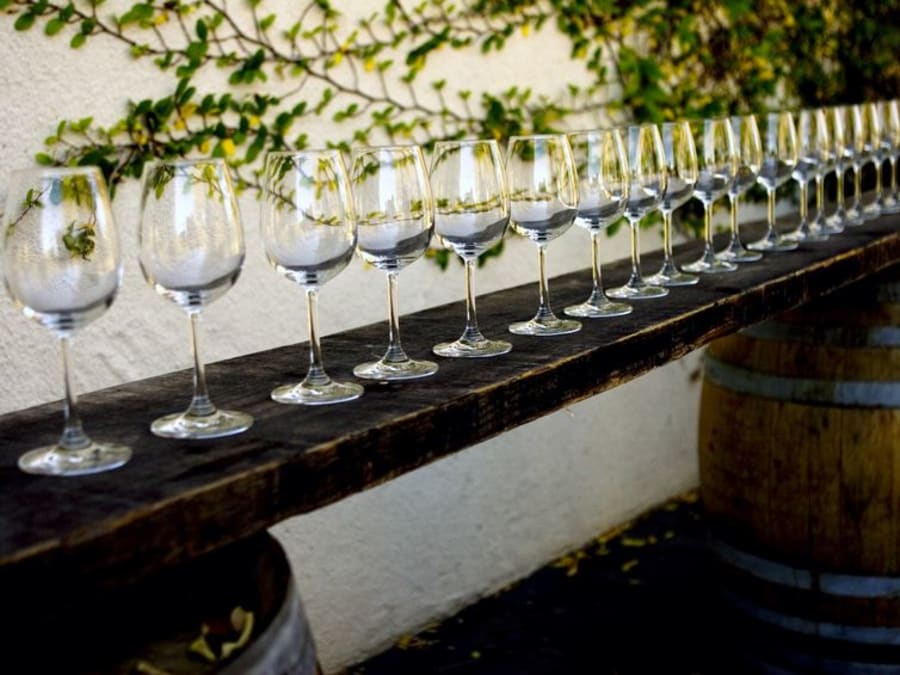 Visite du domaine et cours d'œnologie près de Nantes (44)