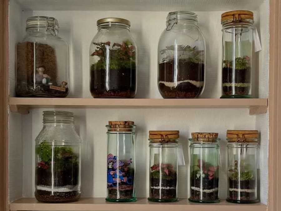 Atelier création d'un terrarium à Reims (51)
