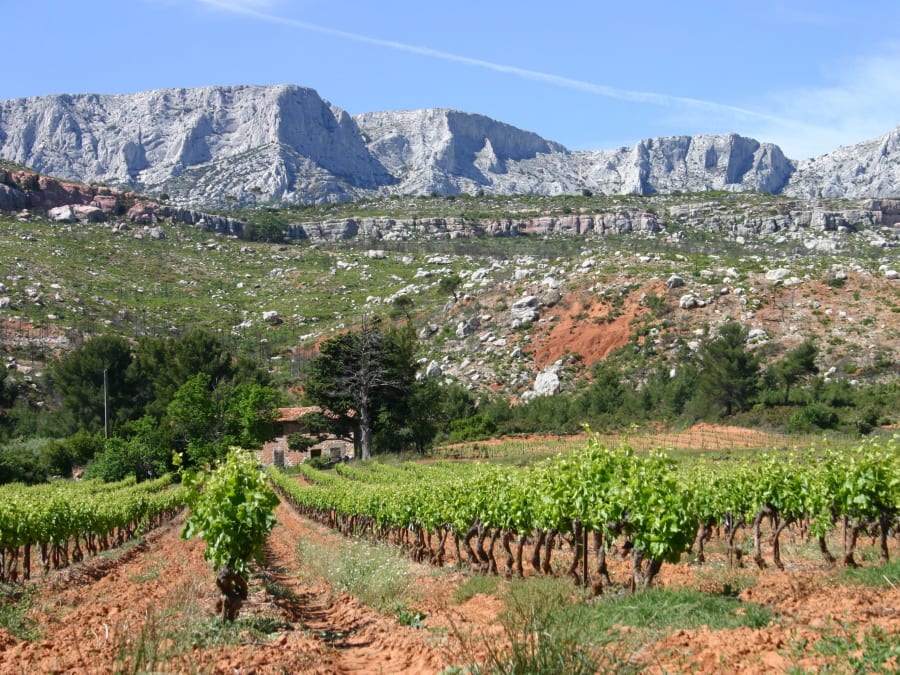 Team Building  visite au Vinotarium à Rousset (13)