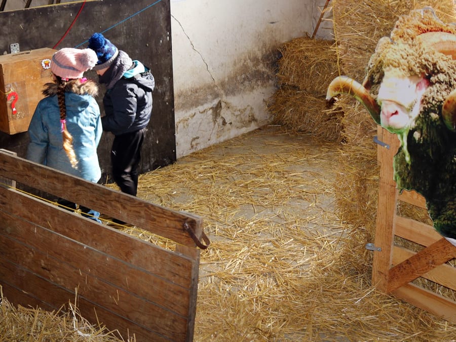 Enquête à la Ferme à la Bergerie Nationale !