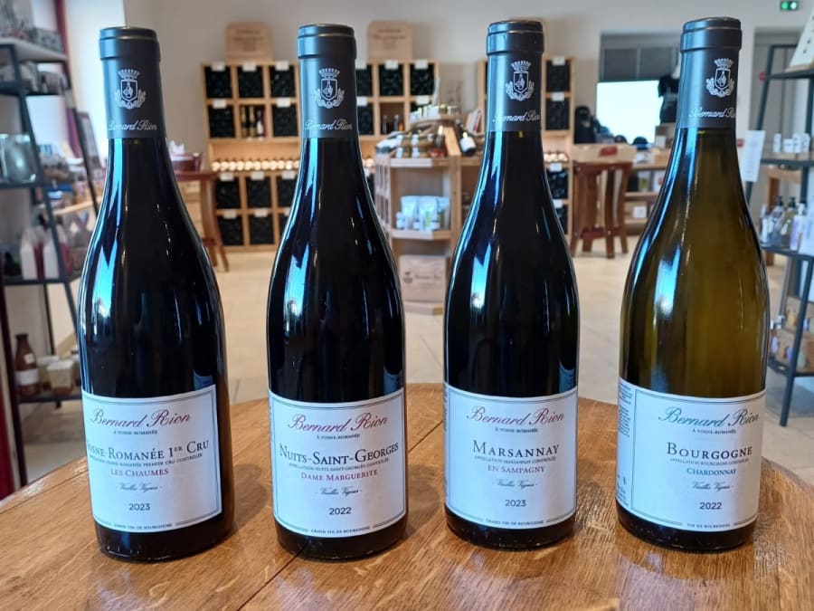 Dégustation de vins à Vosne-Romanée (21)