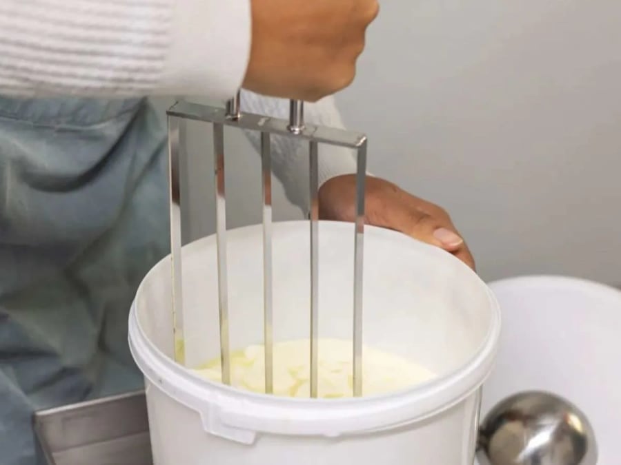 St Marcell'eaux cheese-making workshop in Bordeaux (33)