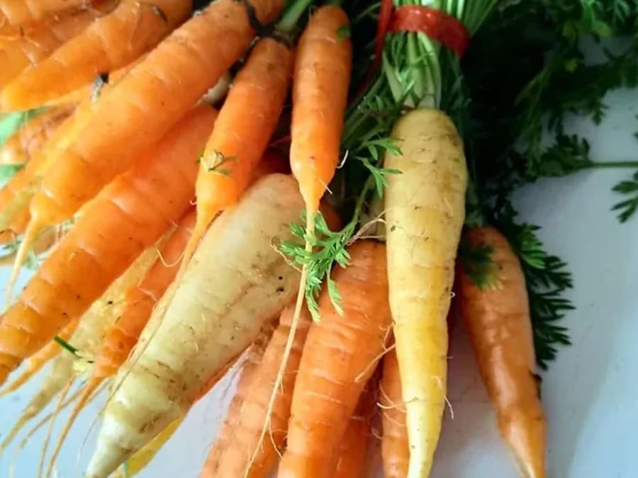 Team Building cuisine lyonnaise avec visite du marché à Lyon  