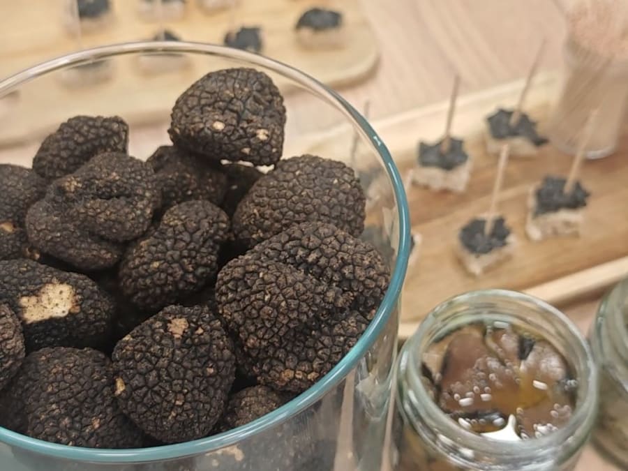 Paseos epicúreos y enológicos en Aix-en-Provence (13)