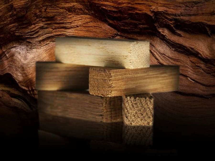 Team building dégustation de vin à Bordeaux (33)