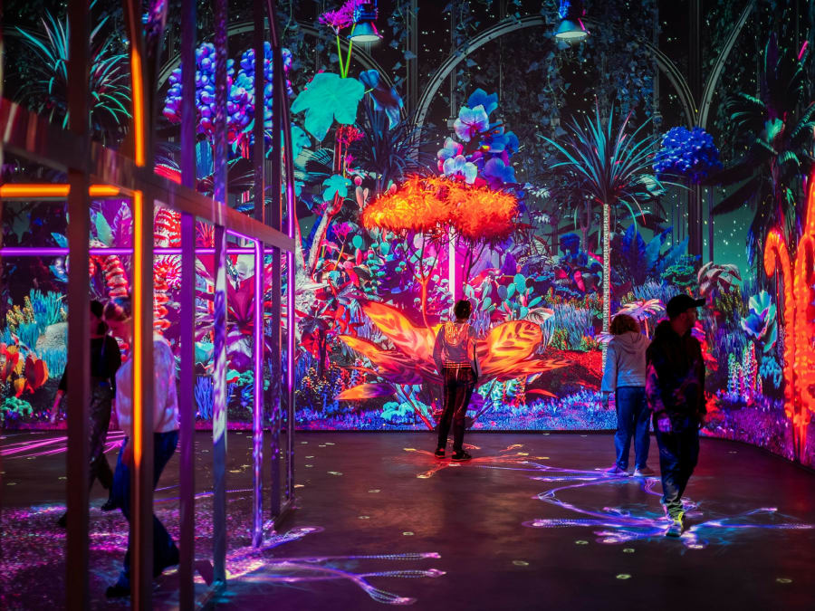 Bilhete de 2 dias para o Futuroscope, perto de Poitiers (86)