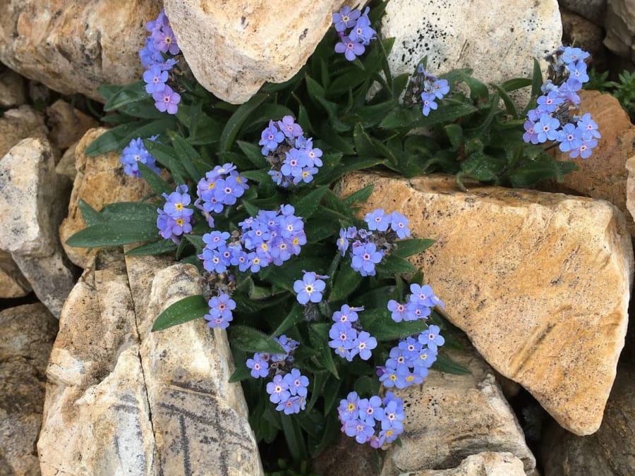 Paragliding flight on Mont Sainte-Victoire (13)