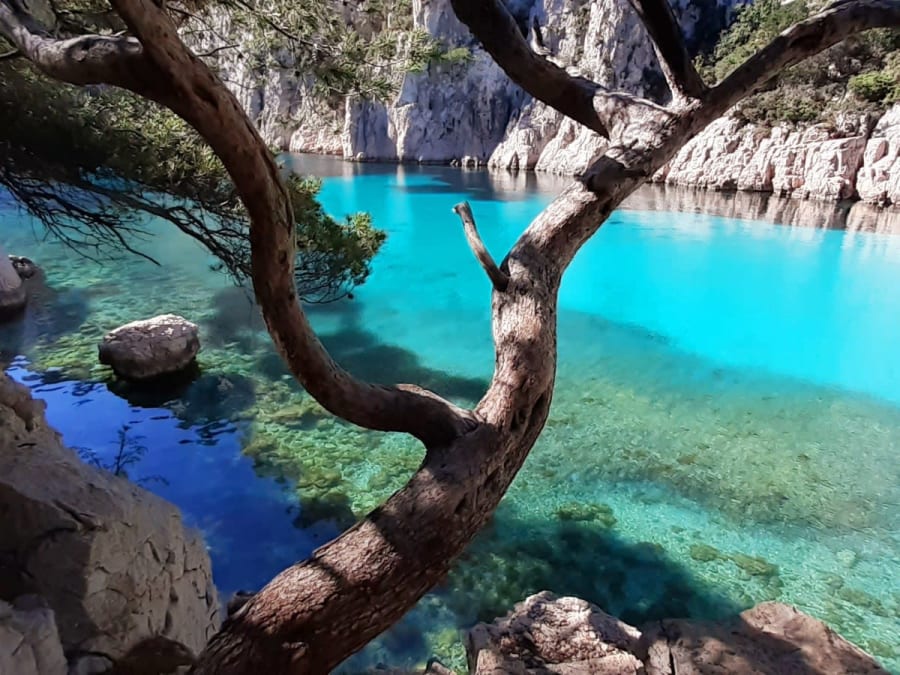 Halbtägige geführte „Entspannungs“-Tour: 4 Stunden Kajakfahren im Nationalpark Calanques (13)