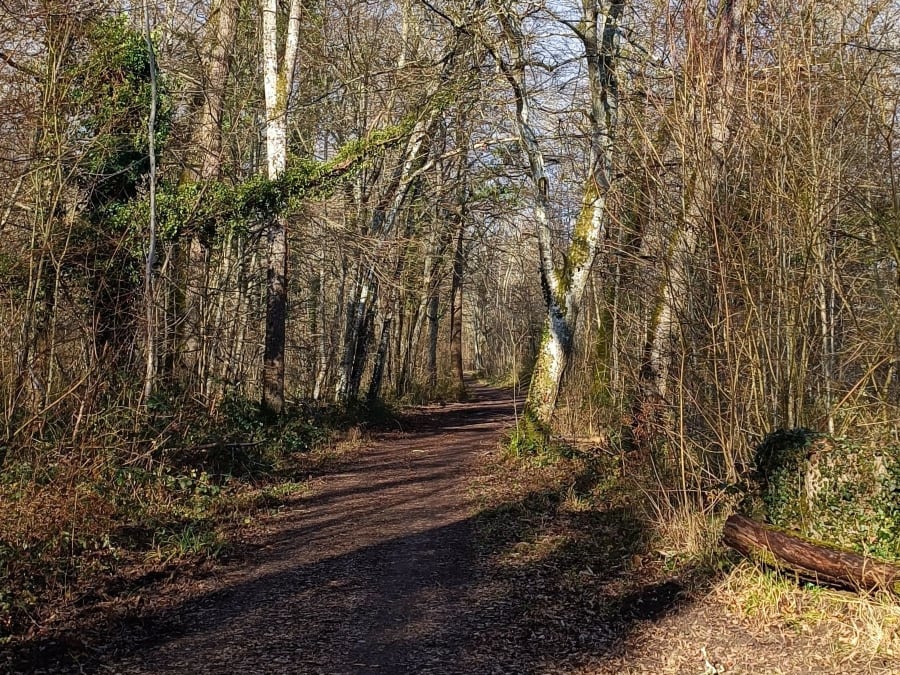 Visite guidée à vélo sur les bords de Seine et Fontainebleau