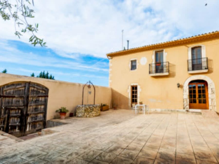 Bezoek aan wijngaarden en proeverij van Artcava-cava in Penedès
