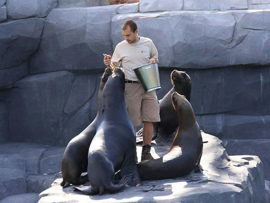 Bilhete de entrada com acesso direto ao Parque Zoológico de Paris