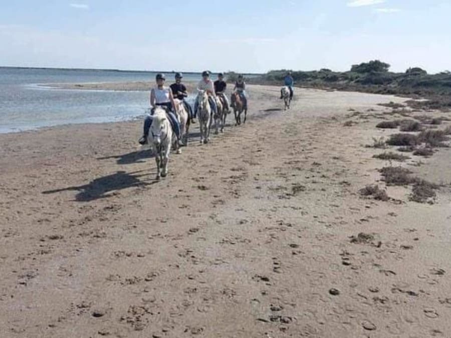 Balade à cheval d'une 1/2 journée à Sainte-Marie-de-la-Mer (13)