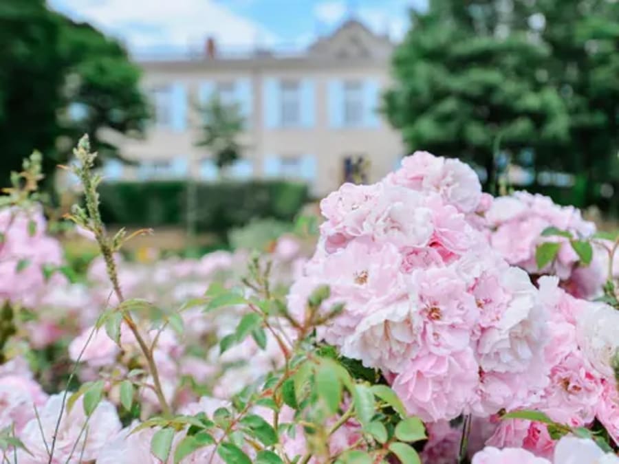 Château Beauchêne à Piolenc (84)