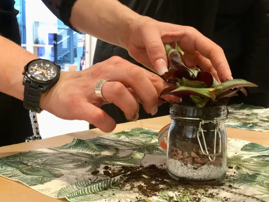 Animation Bar à Plantes à Paris et en Île-de-France