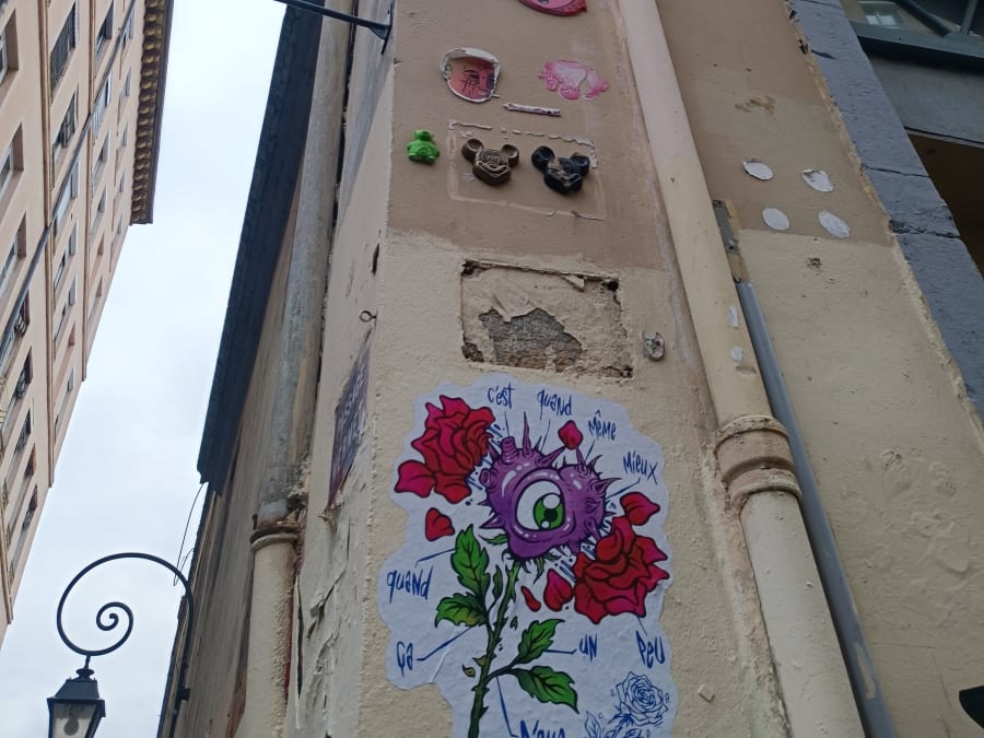 Street-Art guided tour in Lyon (69)