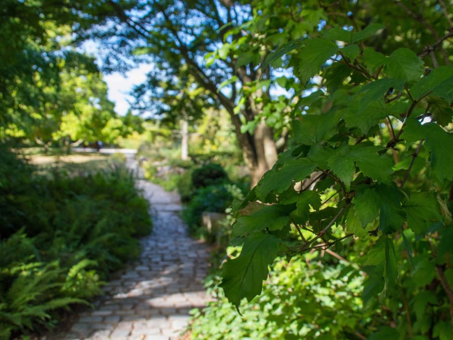 Anniversaire jeu de piste "L'héritage du Khan", Parc Floral (75)