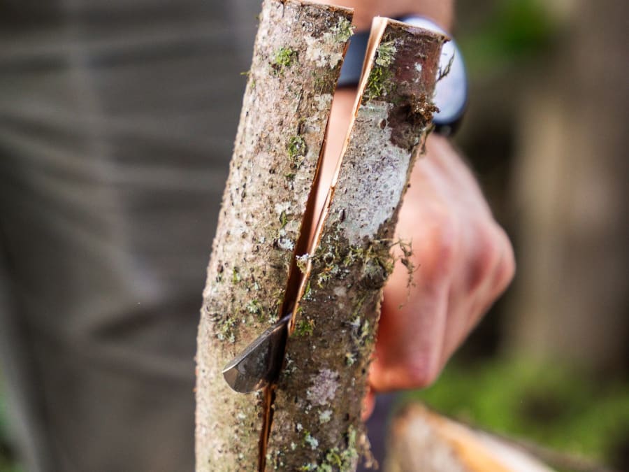 Curso itinerante de supervivencia en los Vosgos (88)