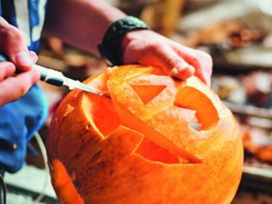 Atelier citrouille d'Halloween chez Truffaut Orléans (45)