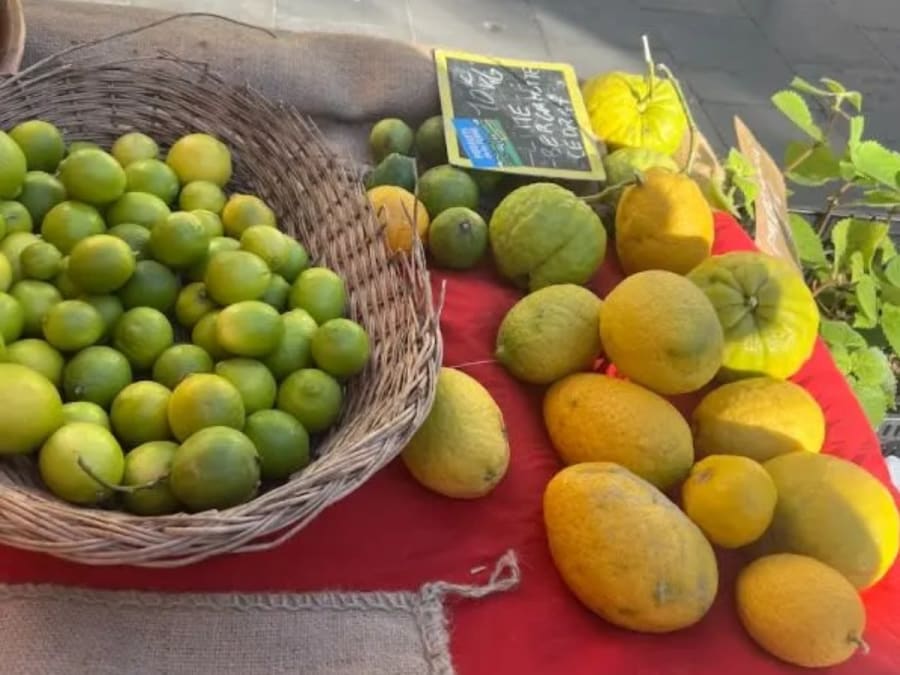 Kulinarischer Spaziergang über den Marché de la Libération in Nizza (06)