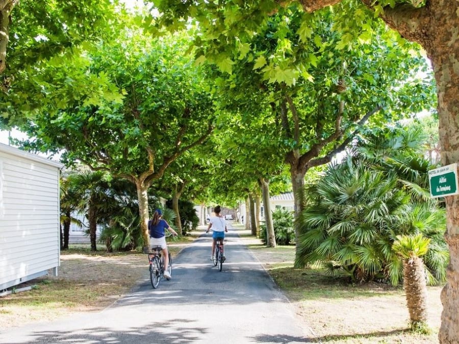 Camping L'Océan & SPA ***** sur l'Île de Ré (17)