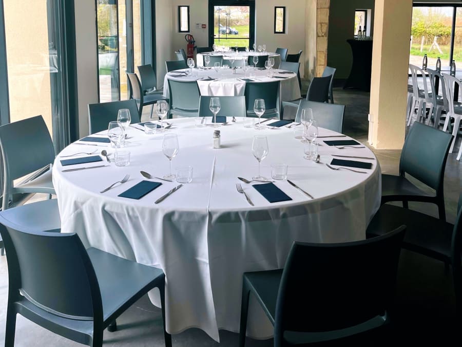 Château des Dauphins près de Bordeaux (33)