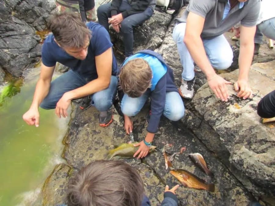 Stage de Survie de 2 jours en Bord de Mer en Bretagne (29)