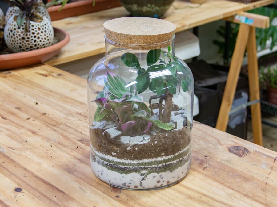 Team Building Atelier végétal à Reims (51)