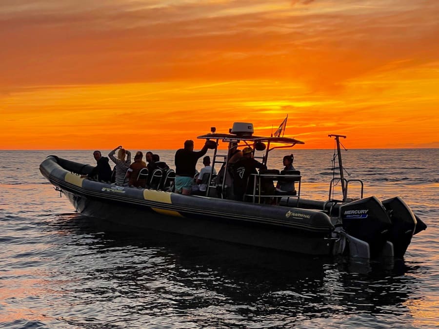 Sunset at Les Sanguinaires by boat from Porticcio