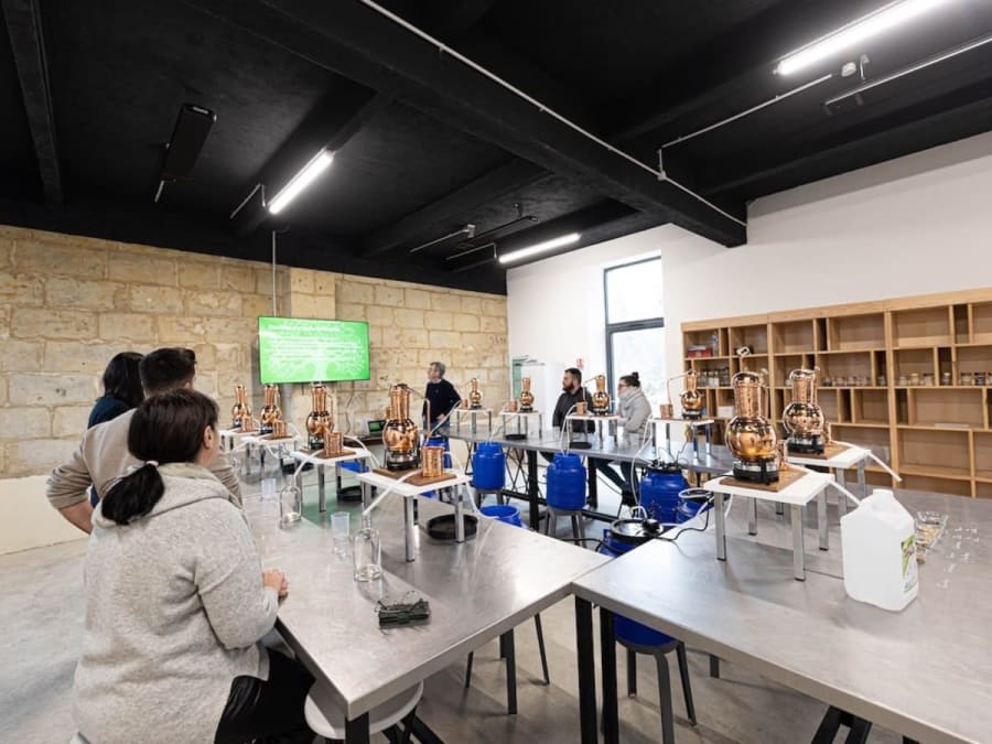 Taller de destilación de ginebra en Roiffé (86)
