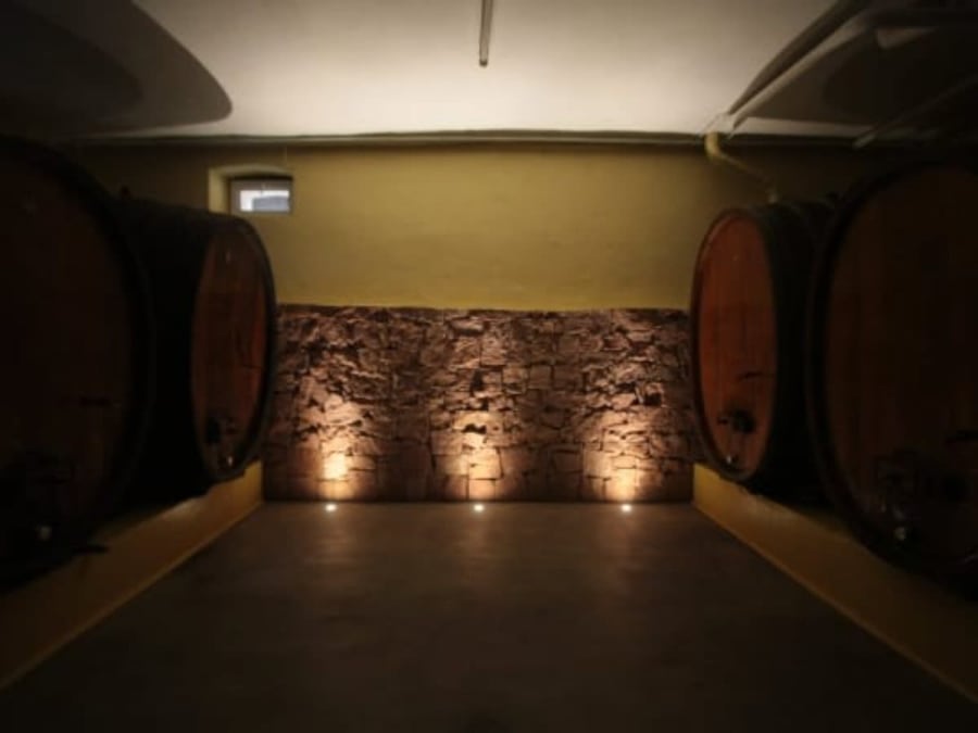 Visite de cave & dégustation de vins à Mittelwihr (68)