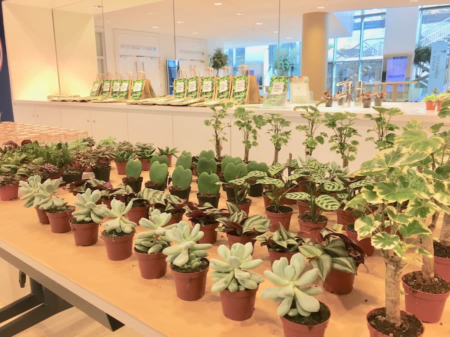 Animation Bar à Plantes à Paris et en Île-de-France