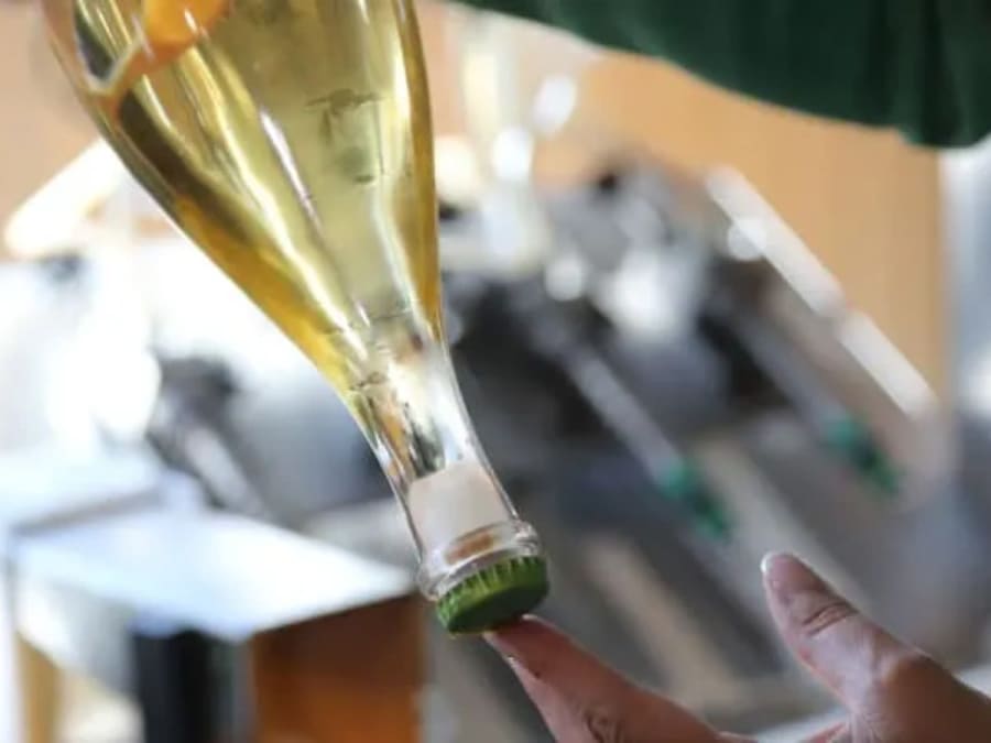 Visite de caves & dégustation de champagne à Damery (51)