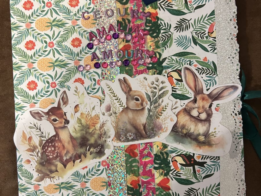 Anniversaire customisation d'un carnet 6-18 ans à Cadaujac (33)