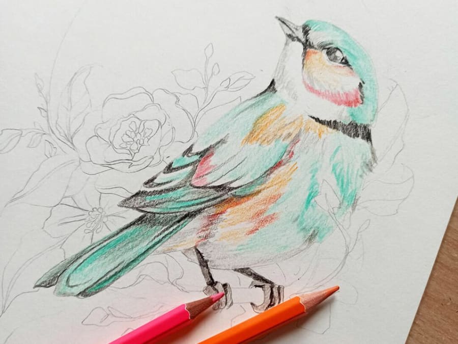 Atelier crayon aquarelle St Ouën-des-toits (53)