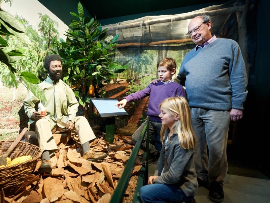 Entrada para el Museo del Chocolate + audioguía en Bruselas