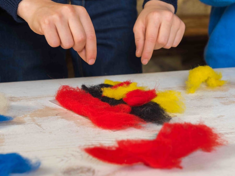 Atelier Laine & Animaux de la Ferme de Gally de St-Cyr-l'Ecole