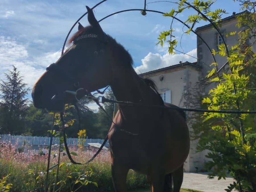 EVG/EVJF multi-activités au Clos de Bellevue (17)