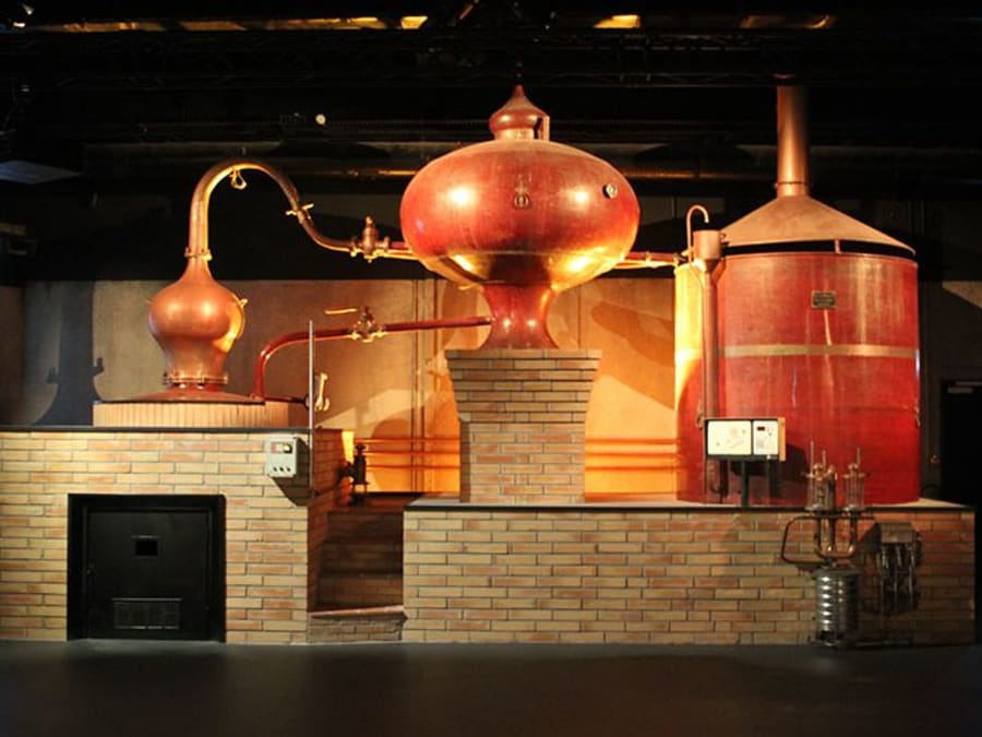 Entrada para Calvados Expérience en Pont-l'Évêque (14)