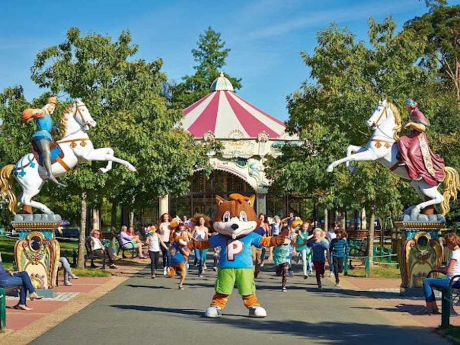 Billet pour le Papéa Parc  (72)