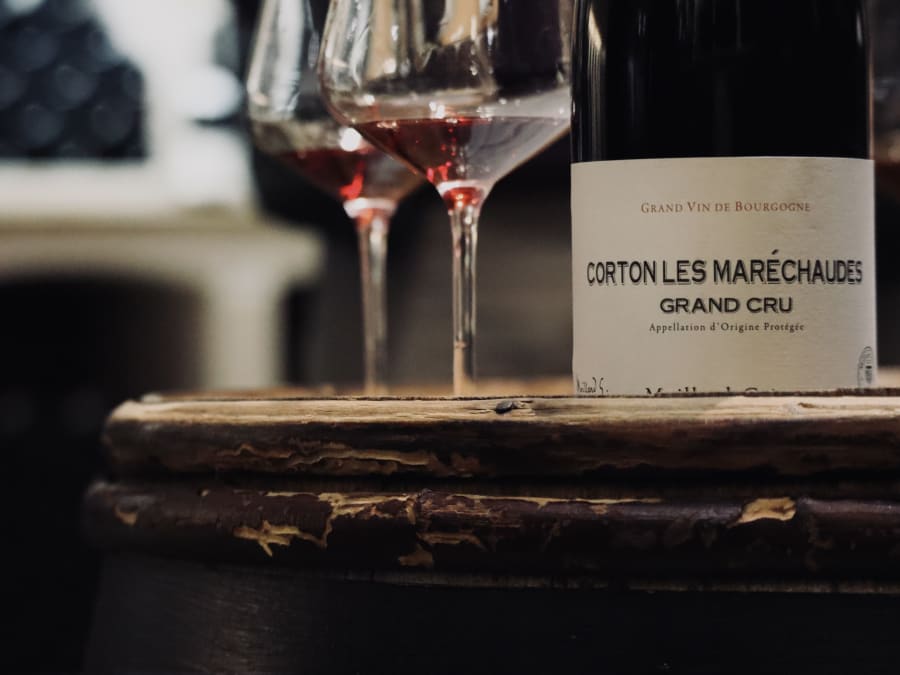 Degustación de vinos en Côte de Nuit (21)