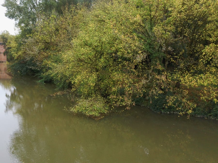 Initiation au télépilotage de drone à  St-Lieux-lès-Lavaur (81)