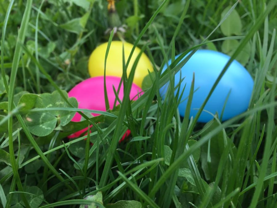 Chasse aux œufs pour Pâques à la cueillette de Compans !