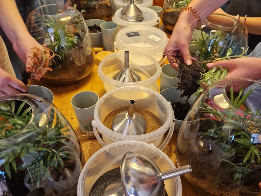 Atelier Terrarium taille S à Strasbourg (67)